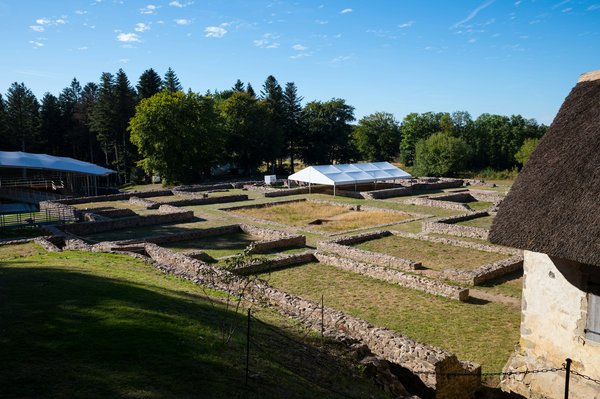 Quelles sont les recettes de plats légers à base de riz basmati?